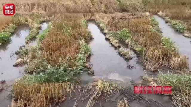 ���ﱻ�١���ˮ��ӣ������ع�����